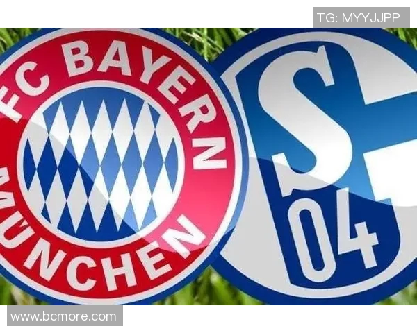 沙尔克04迎来转型之机德甲保级前景看涨