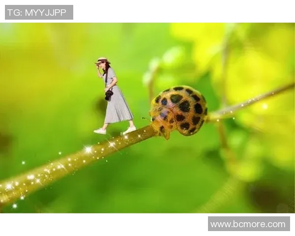 探索心灵的旅程：太阳、罚款与飞翔的哲理