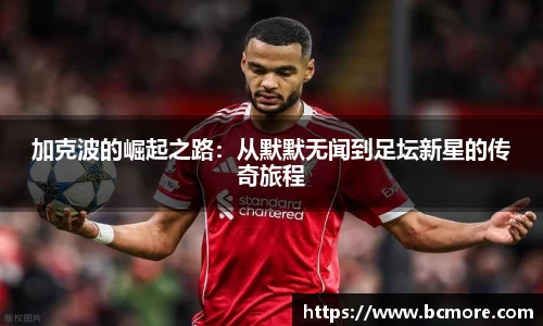 MILE米乐登录